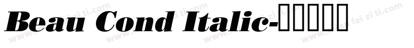 Beau Cond Italic字体转换
